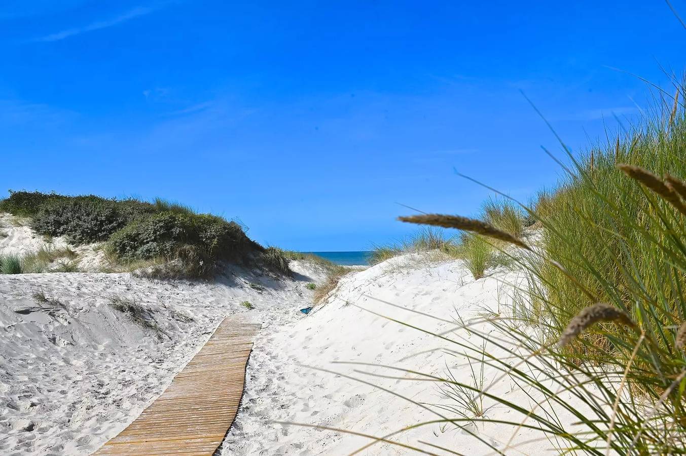 Mobil Home 3 Schlafzimmer 6 Personen, 32m2, 2019 in Sainte Cécile Plage, Camiers