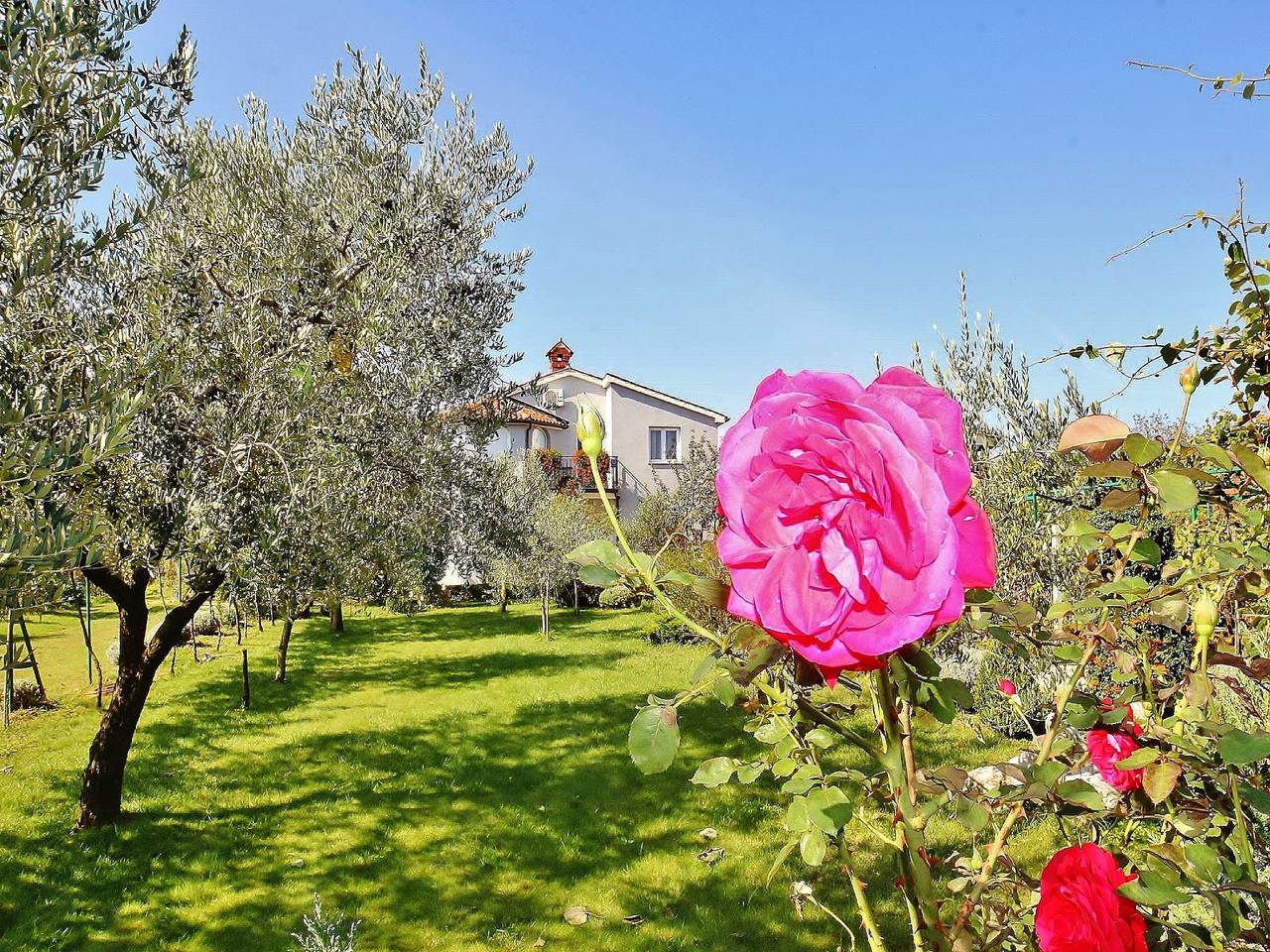 Ganze Wohnung, Apartment mit einem Schlafzimmer Đurđa C in Fažana in Fazana, Südküste Istrien