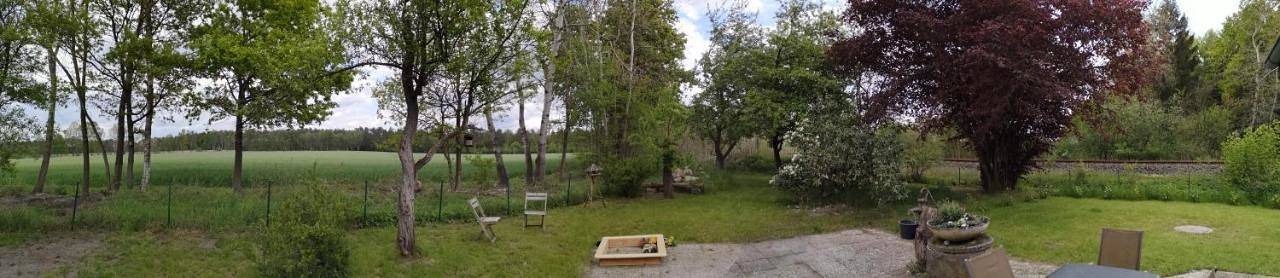Ferienhaus für 6 Personen, mit Terrasse und Garten sowie Sauna und Ausblick in Soltau - 2