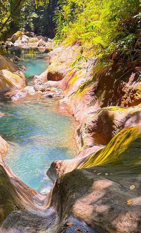 Gîte pour 11 personnes, avec terrasse et vue à Vieux-Fort - 3