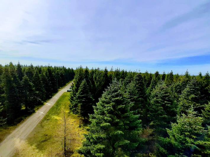 Ferienhaus für 4 Personen, mit Terrasse, mit Haustier in Ostjütland - 4