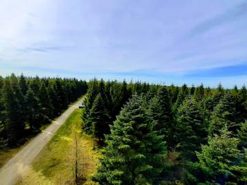 Vakantiehuis voor 4 Personen in Vejen, Zuid-Denemarken, Afbeelding 3