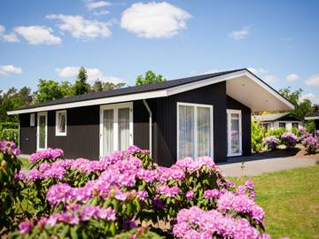Maison de campagne pour 6 personnes, avec jardin et piscine, animaux acceptés à Veldhoven