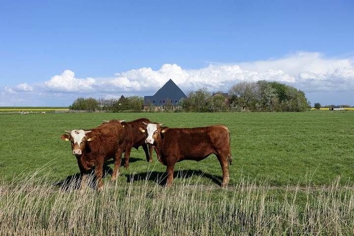 Ferienwohnung für 7 Personen, mit Garten und Ausblick, kinderfreundlich in Osterhever - 3