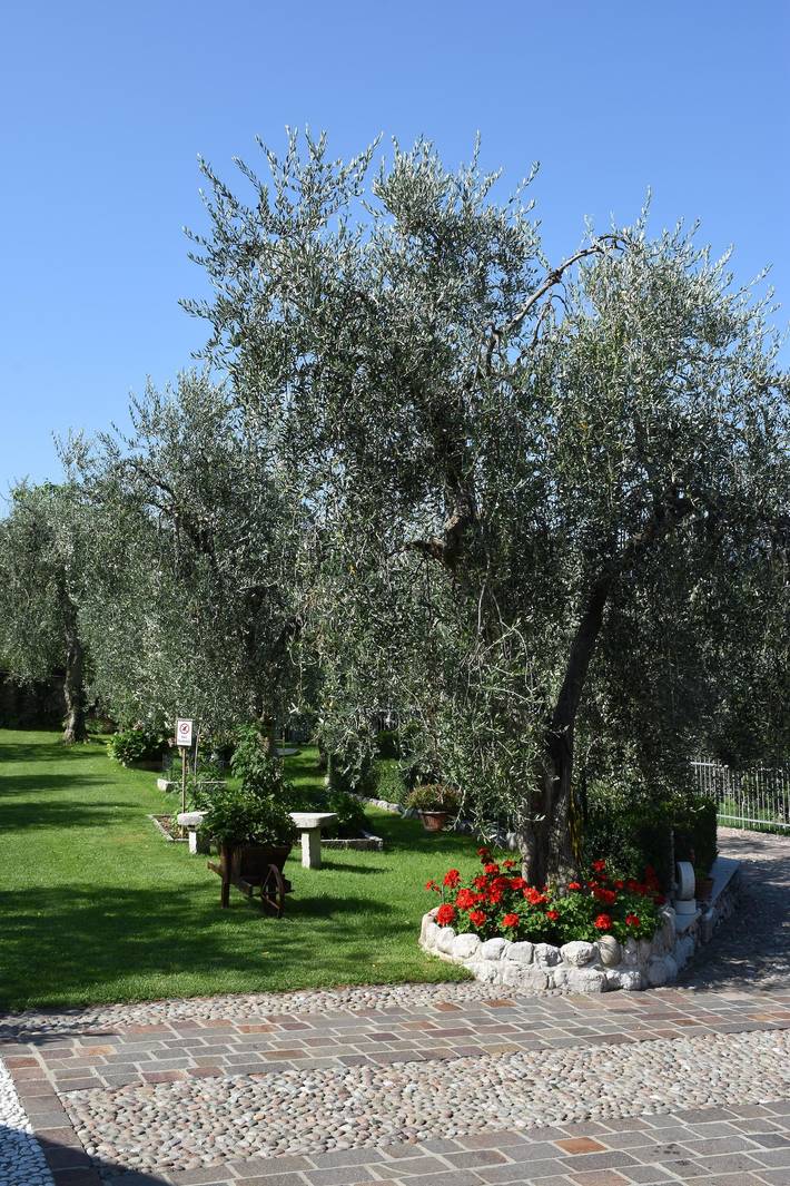 Appartamento intero, Pet-Friendly Appartamento Rosa con vista sul lago, piscina, Wi-Fi e giardino in Malcesine, Prealpi Gardesane