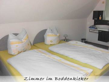 Ferienwohnung für 4 Personen, mit Garten und Seeblick sowie Terrasse und Sauna, kinderfreundlich in Nationalpark Vorpommersche Boddenlandschaft