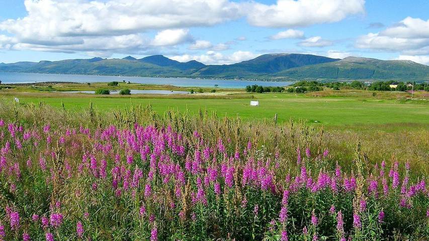 Ferienhaus für 7 Personen, mit Garten und Ausblick sowie Terrasse in Vesterålen
