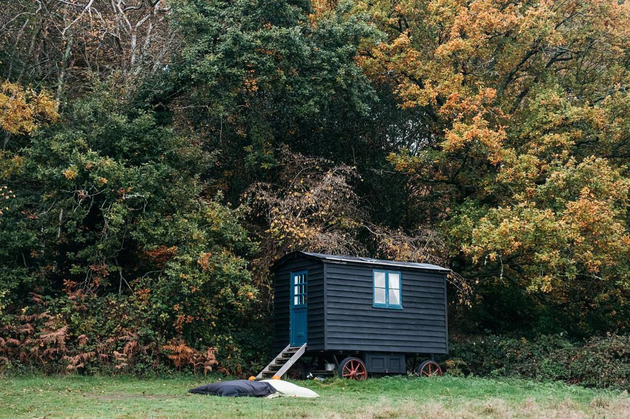 Beautiful, Secluded Shepherd's Hut in the National Park in Rogate, South Downs