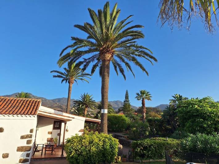 Bungalow für 8 Personen, mit Garten und Terrasse sowie Pool auf Teneriffa - 2