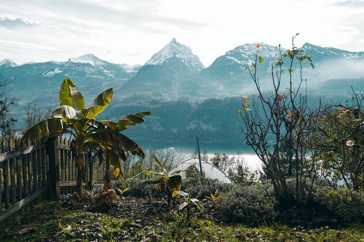Ferienwohnung für 3 Personen, mit Ausblick und Seeblick sowie Garten in der Schweiz - 2