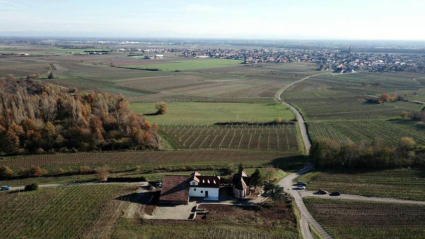 Location de vacances pour 12 personnes, avec sauna et jardin ainsi que terrasse et vue à Scherwiller - 2