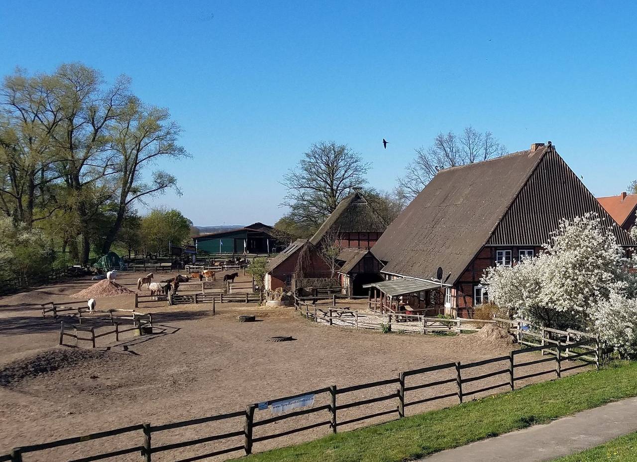Pony-Ranch-Hütte in Hittbergen, Mecklenburgisches Elbetal