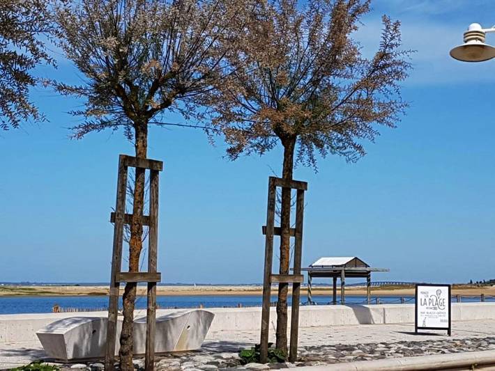 Hôtel pour 2 personnes, avec terrasse et vue dans Marennes-Plage - 2