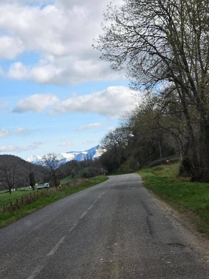 Location de vacances pour 7 personnes, avec vue et jardin, animaux acceptés à Gan - 3