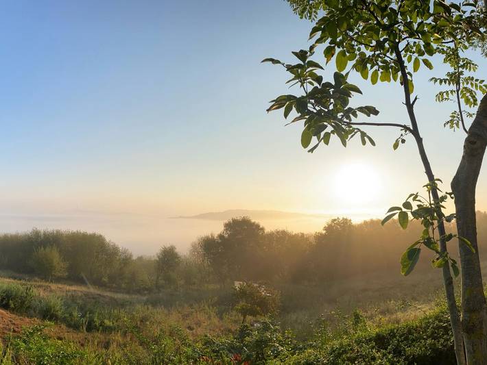 Cottage for 5 people, with Terrace and Garden in Pas-de-Calais