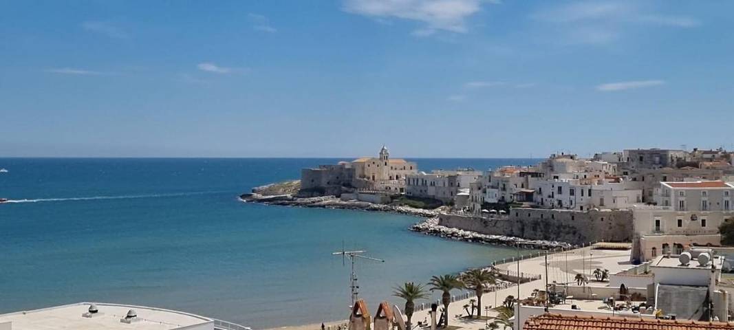 Maison d’hôte pour 2 personnes, avec terrasse, animaux acceptés à Vieste - 3