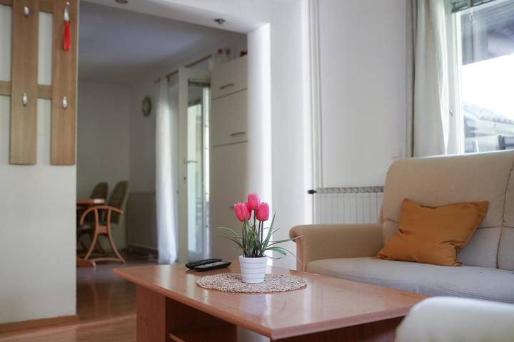 Location de vacances pour 4 personnes, avec vue et jardin dans Bohinjska Bistrica - 3