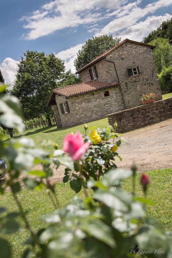Gîte pour 5 personnes, avec piscine et jardin à Mulazzo - 4