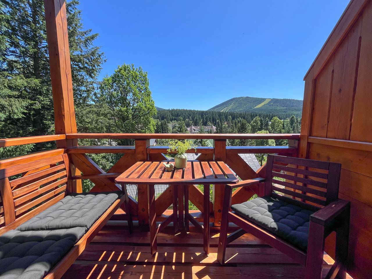 Ganze Wohnung, Sachrův Kopec in Harrachov, Riesengebirge