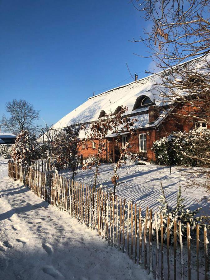 Ferienwohnung für 5 Personen, mit Garten und Sauna, mit Haustier in Großefehn - 2