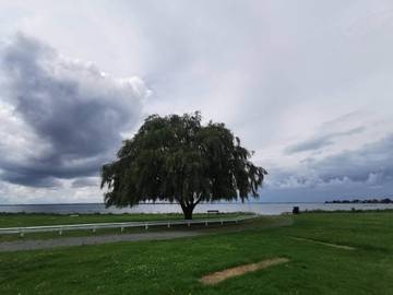 Feriehus til 5 Personer i Møn, Bilde 2