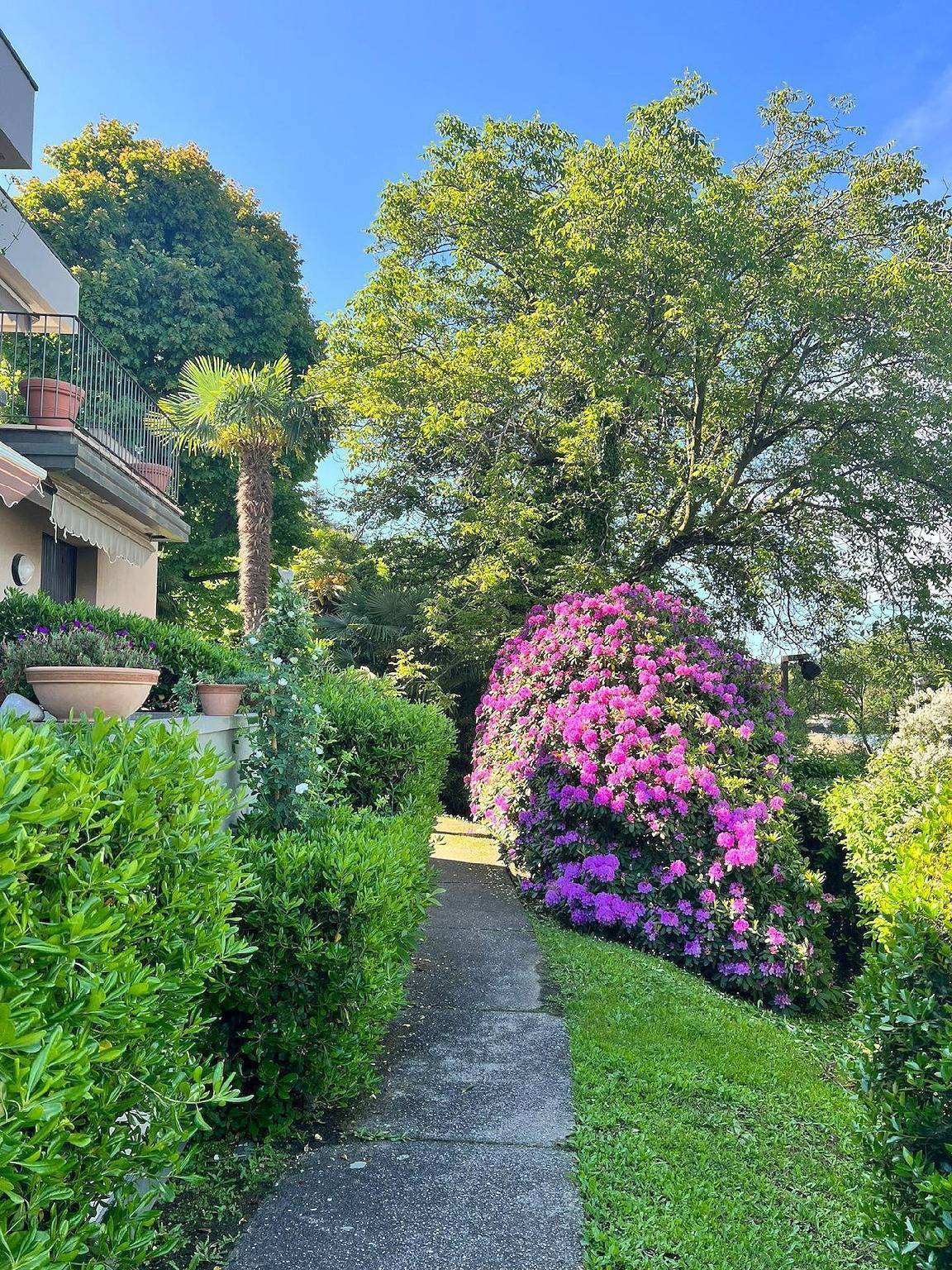 Appartement de vacances entier, Bnbook Pike House in Ispra, Comune di Ispra