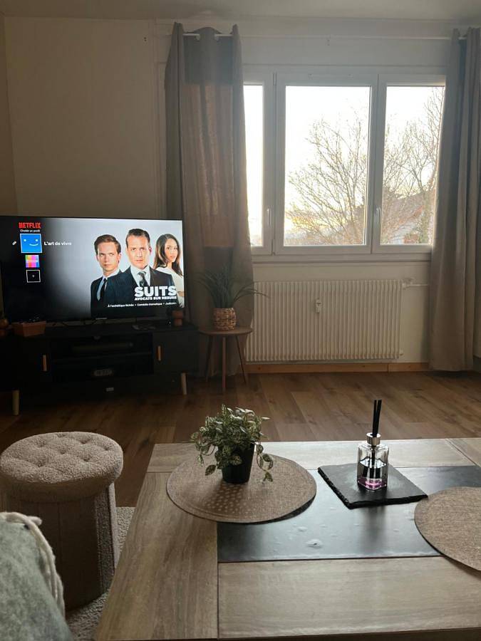 Gîte pour 4 personnes, avec vue à Ambilly - 4