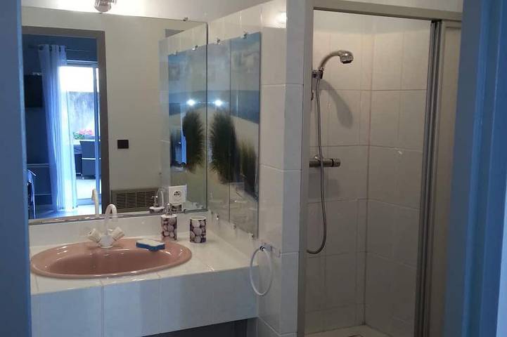 Gîte pour 4 personnes, avec terrasse et jardin, animaux acceptés à Vichy - 4