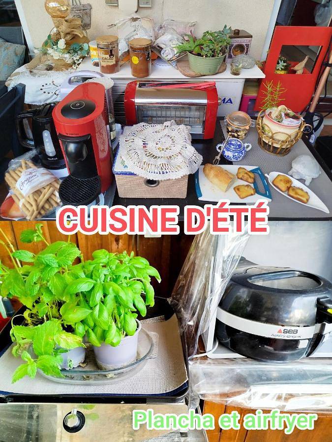 Chambre d’hôte pour 2 personnes, avec terrasse ainsi que piscine et vue, animaux acceptés à Saint-Raphaël - 3