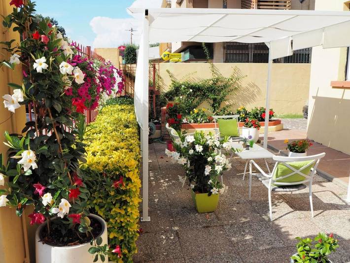 Appart’hôtel pour 4 personnes, avec Jardin à Tirrenia