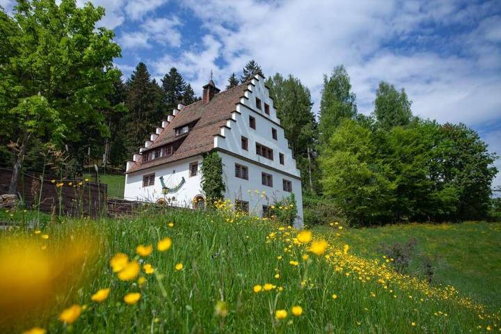 Ferienhaus für 11 Personen, mit Balkon/Terrasse und Terrasse in Freudenstadt - 3