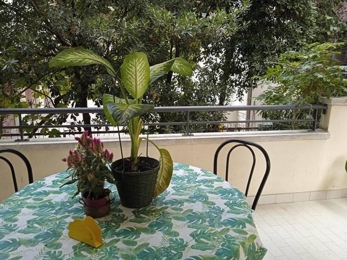 Ferienhaus für 4 Personen, mit Balkon in Rimini - 3