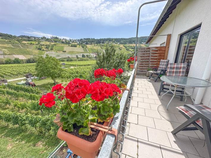 Ferienwohnung für 2 Personen, mit Balkon und Garten in Schweich an der Römischen Weinstraße - 4