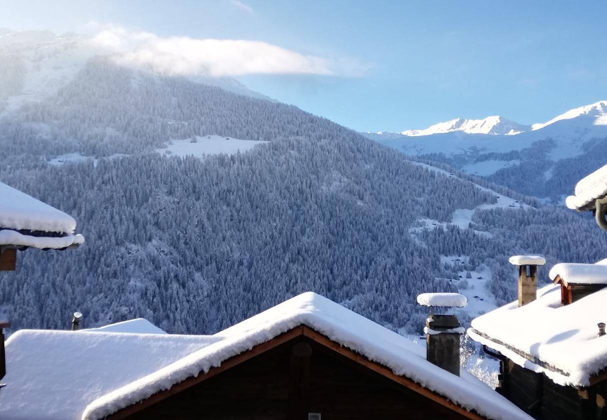 Quiet 3-bedroom chalet near Verbier in Versegères, Bagnes