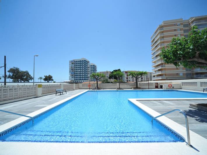 Studio pour 3 personnes, avec piscine et jardin, animaux acceptés - 1