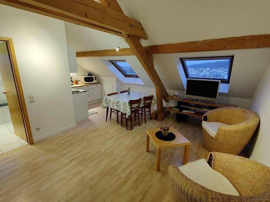 Appartement entier, One-Bedroom Apartment in Stiring-Wendel, Région de Forbach