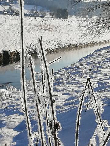 Ferienwohnung für 4 Personen in Chiemgauer Alpen, Bergen (Chiemgau), Bild 4