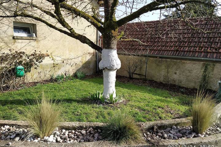 Ganze Wohnung, La Ruche 51 in Morangis, Marne
