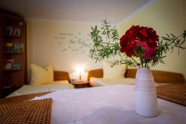 Studio für 3 Personen, mit Terrasse und Garten in Loschwitz - 4