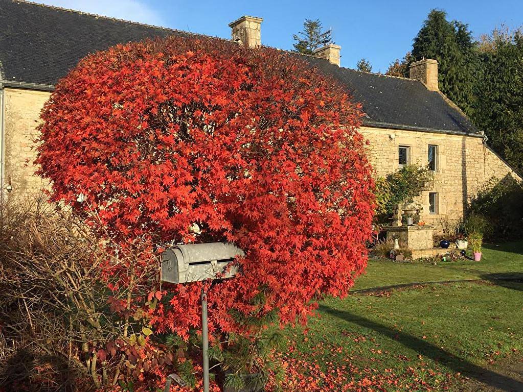 Alcove & Agapes - Chambre1 in Langonnet, Région de Pontivy