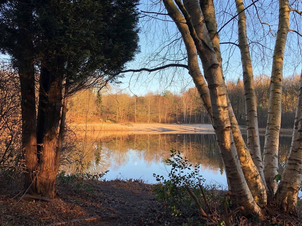 Ferienhaus am See - Ferienhaus, Dusche und Bad, Wc in Wiefelstede, Ammerland