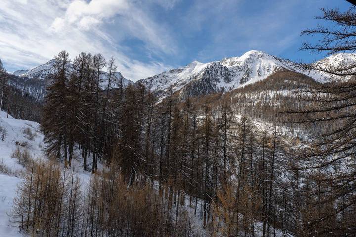 Chalet pour 6 personnes, avec balcon à Les Orres