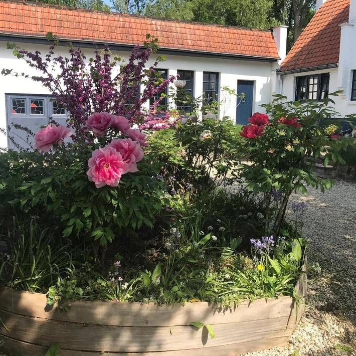 Chambre d’hôte pour 3 personnes, avec Terrasse à Zaventem