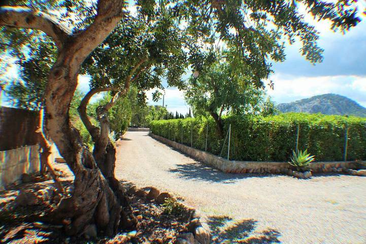 Peaceful villa renovated at 500 metres from Pollensa village  And WIFI Free in Pollença Town, Pollença