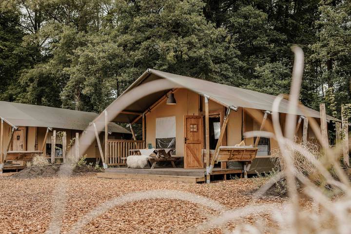 Camping für 6 Personen in der Veluwe - 4