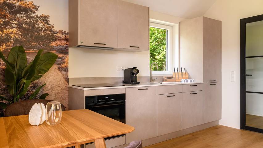 Ferienhaus für 2 Personen, mit Sauna und Garten in Drenthe - 3