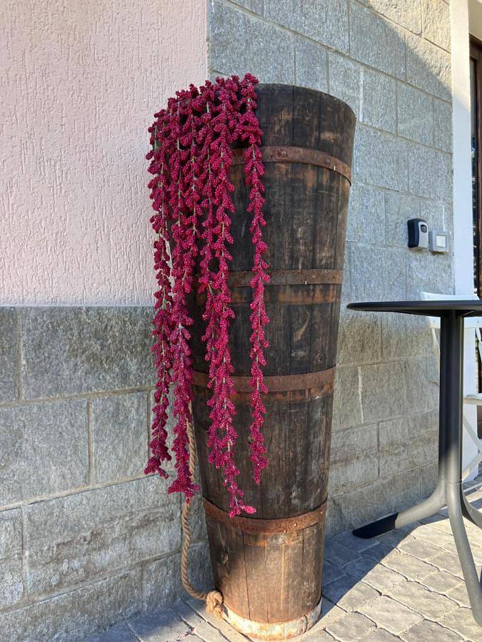 Location de vacances pour 2 personnes, avec jardin et vue, animaux acceptés à Chiavenna - 4