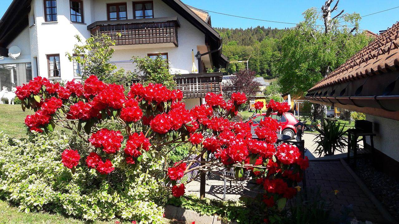 Ganze Ferienwohnung, Ferienwohnung für 2 Personen (90 m²) in Dachsberg in Suedlicher Schwarzwald, Dachsberg