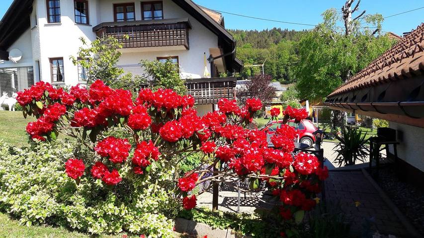 Ferienwohnung für 2 Personen, mit Garten und Balkon - 1