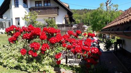 Ferienwohnung für 2 Personen, mit Balkon und Garten in Suedlicher Schwarzwald